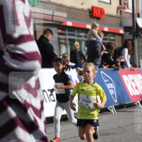 15.09.2024 - PSD Bank Halbmarathon Michael Strokosch http://msf.ph/oto/7073013 15.09.2024 10:30:49 Ziel 38, 44, 141, 145, 147, 207, 214, 234 meine-sportfotos.de