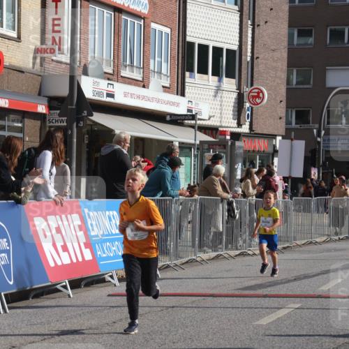 15.09.2024 - PSD Bank Halbmarathon Michael Strokosch http://msf.ph/oto/7073039 15.09.2024 10:30:51 Ziel 38, 44, 141, 145, 147, 207, 214, 234 meine-sportfotos.de