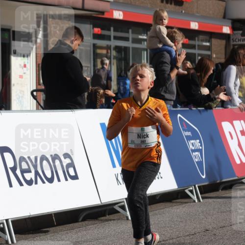 15.09.2024 - PSD Bank Halbmarathon Michael Strokosch http://msf.ph/oto/7073059 15.09.2024 10:30:52 Ziel 38, 44, 141, 145, 147, 207, 214, 234 meine-sportfotos.de