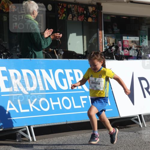 15.09.2024 - PSD Bank Halbmarathon Michael Strokosch http://msf.ph/oto/7073108 15.09.2024 10:30:56 Ziel 25, 38, 44, 126, 141, 145, 207, 234, 277 meine-sportfotos.de