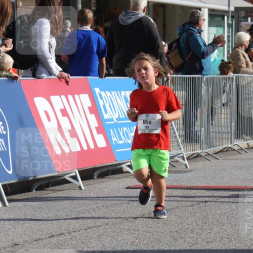 15.09.2024 - PSD Bank Halbmarathon Michael Strokosch http://msf.ph/oto/7073128 15.09.2024 10:31:01 Ziel 24, 25, 72, 104, 105, 126, 141, 207, 277, 287 meine-sportfotos.de