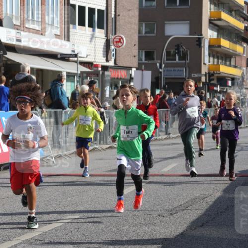 15.09.2024 - PSD Bank Halbmarathon Michael Strokosch http://msf.ph/oto/7073168 15.09.2024 10:31:03 Ziel 24, 25, 39, 72, 104, 105, 126, 141, 191, 207, 277, 287 meine-sportfotos.de