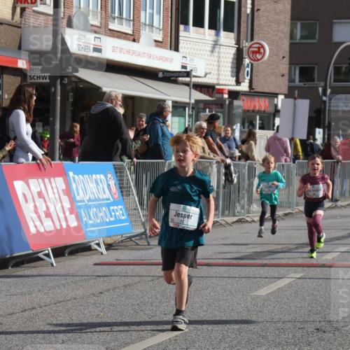 15.09.2024 - PSD Bank Halbmarathon Michael Strokosch http://msf.ph/oto/7073219 15.09.2024 10:31:08 Ziel 24, 25, 39, 72, 104, 105, 126, 160, 163, 191, 277, 287 meine-sportfotos.de