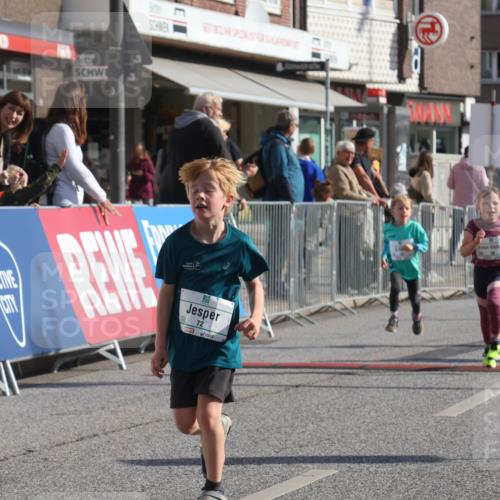 15.09.2024 - PSD Bank Halbmarathon Michael Strokosch http://msf.ph/oto/7073234 15.09.2024 10:31:09 Ziel 24, 25, 39, 72, 104, 105, 126, 160, 163, 191, 277, 287 meine-sportfotos.de
