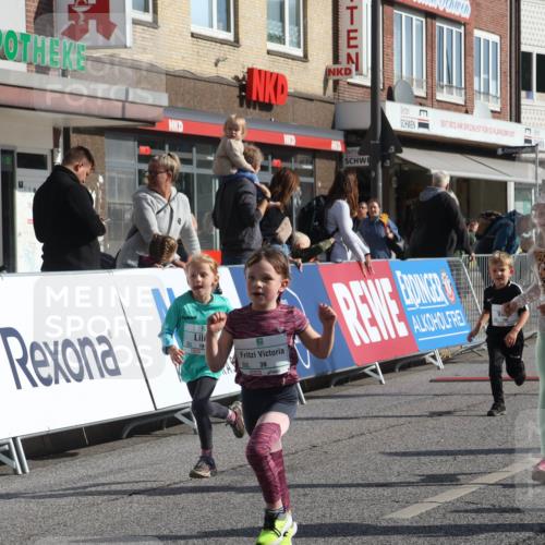 15.09.2024 - PSD Bank Halbmarathon Michael Strokosch http://msf.ph/oto/7073272 15.09.2024 10:31:12 Ziel 24, 25, 39, 72, 104, 105, 126, 160, 163, 191, 277, 287 meine-sportfotos.de