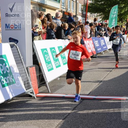 15.09.2024 - PSD Bank Halbmarathon Strokosch-Dieckow http://msf.ph/oto/7073302 15.09.2024 10:29:17 Ziel 106, 107, 137, 150, 154, 170, 179, 189, 222, 231, 288, 292, 297 meine-sportfotos.de