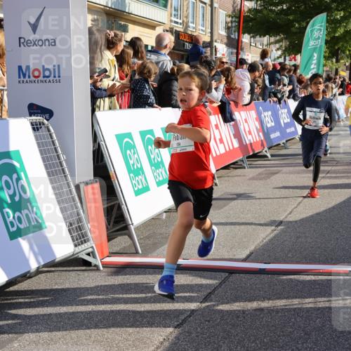 15.09.2024 - PSD Bank Halbmarathon Strokosch-Dieckow http://msf.ph/oto/7073370 15.09.2024 10:29:17 Ziel 106, 107, 137, 150, 154, 170, 179, 189, 222, 231, 288, 292, 297 meine-sportfotos.de