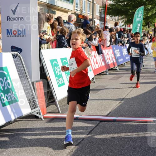 15.09.2024 - PSD Bank Halbmarathon Strokosch-Dieckow http://msf.ph/oto/7073397 15.09.2024 10:29:17 Ziel 106, 107, 137, 150, 154, 170, 179, 189, 222, 231, 288, 292, 297 meine-sportfotos.de