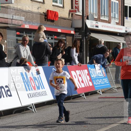 15.09.2024 - PSD Bank Halbmarathon Michael Strokosch http://msf.ph/oto/7073401 15.09.2024 10:31:30 Ziel 78, 158, 175, 201, 202, 250 meine-sportfotos.de