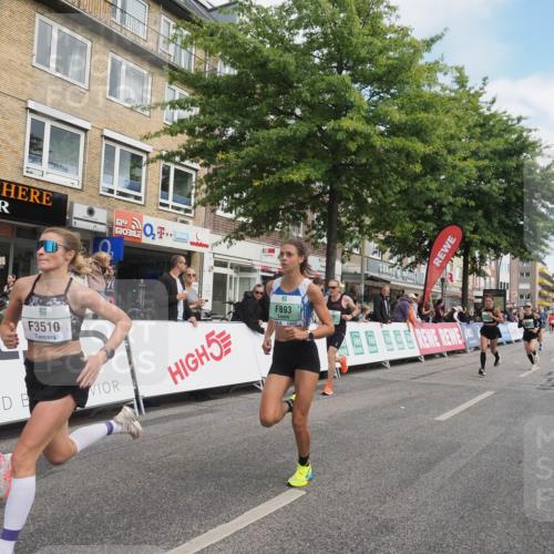 15.09.2024 - PSD Bank Halbmarathon Miley Keyser http://msf.ph/oto/7073404 15.09.2024 11:28:37 Ziel 425, 431, 585, 830, 889, 893, 905, 915, 929, 1063, 1065, 1126, 1487, 2603, 3510 meine-sportfotos.de