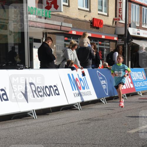 15.09.2024 - PSD Bank Halbmarathon Michael Strokosch http://msf.ph/oto/7073526 15.09.2024 10:31:41 Ziel 11, 175, 201, 202, 223, 250, 276, 299 meine-sportfotos.de