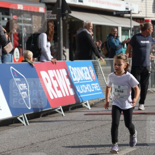 15.09.2024 - PSD Bank Halbmarathon Michael Strokosch http://msf.ph/oto/7073558 15.09.2024 10:31:44 Ziel 11, 202, 223, 250, 276, 299 meine-sportfotos.de