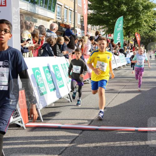 15.09.2024 - PSD Bank Halbmarathon Strokosch-Dieckow http://msf.ph/oto/7073571 15.09.2024 10:29:19 Ziel 5, 106, 107, 137, 150, 154, 170, 179, 189, 222, 231, 271, 288, 292, 297 meine-sportfotos.de