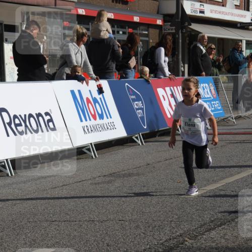 15.09.2024 - PSD Bank Halbmarathon Michael Strokosch http://msf.ph/oto/7073573 15.09.2024 10:31:45 Ziel 11, 57, 151, 202, 223, 250, 267, 276, 299 meine-sportfotos.de