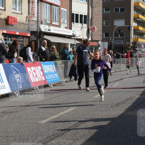 15.09.2024 - PSD Bank Halbmarathon Michael Strokosch http://msf.ph/oto/7073593 15.09.2024 10:31:46 Ziel 11, 56, 57, 151, 202, 223, 250, 267, 276, 299 meine-sportfotos.de