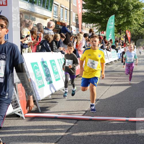 15.09.2024 - PSD Bank Halbmarathon Strokosch-Dieckow http://msf.ph/oto/7073599 15.09.2024 10:29:19 Ziel 5, 106, 107, 137, 150, 154, 170, 179, 189, 222, 231, 271, 288, 292, 297 meine-sportfotos.de