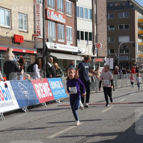 15.09.2024 - PSD Bank Halbmarathon Michael Strokosch http://msf.ph/oto/7073604 15.09.2024 10:31:47 Ziel 11, 56, 57, 151, 202, 223, 250, 267, 276, 299 meine-sportfotos.de