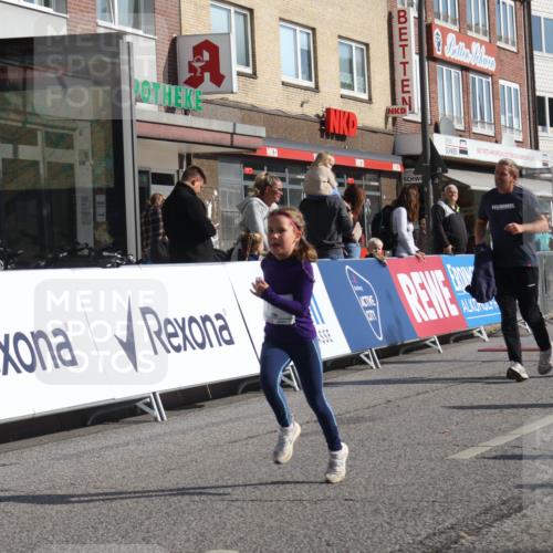 15.09.2024 - PSD Bank Halbmarathon Michael Strokosch http://msf.ph/oto/7073612 15.09.2024 10:31:48 Ziel 11, 56, 57, 151, 202, 223, 250, 267, 276, 299 meine-sportfotos.de