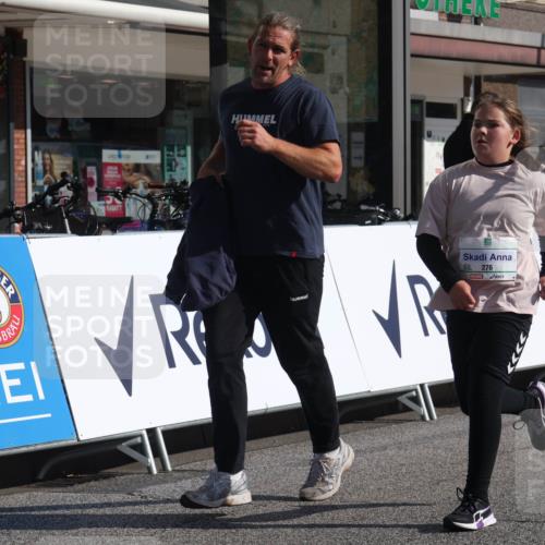 15.09.2024 - PSD Bank Halbmarathon Michael Strokosch http://msf.ph/oto/7073652 15.09.2024 10:31:50 Ziel 11, 56, 57, 151, 223, 267, 276, 299 meine-sportfotos.de