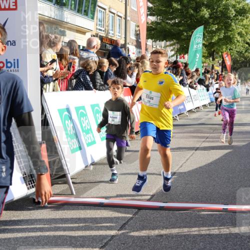 15.09.2024 - PSD Bank Halbmarathon Strokosch-Dieckow http://msf.ph/oto/7073664 15.09.2024 10:29:19 Ziel 5, 106, 107, 137, 150, 154, 170, 179, 189, 222, 231, 271, 288, 292, 297 meine-sportfotos.de