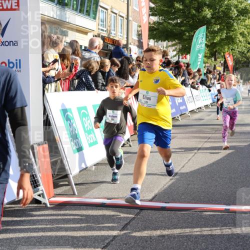 15.09.2024 - PSD Bank Halbmarathon Strokosch-Dieckow http://msf.ph/oto/7073691 15.09.2024 10:29:19 Ziel 5, 106, 107, 137, 150, 154, 170, 179, 189, 222, 231, 271, 288, 292, 297 meine-sportfotos.de