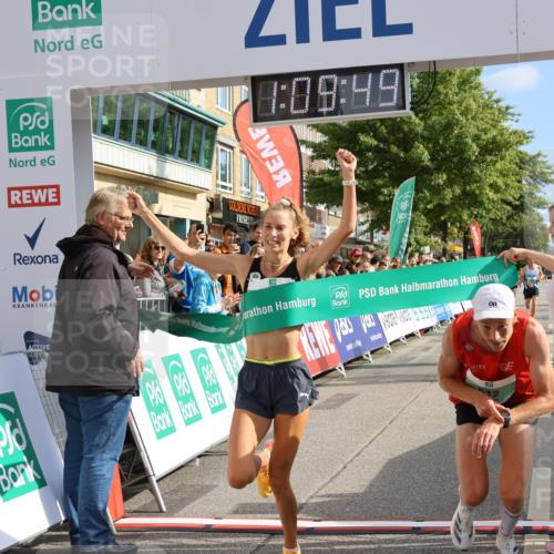 15.09.2024 - PSD Bank Halbmarathon Strokosch-Dieckow http://msf.ph/oto/7073696 15.09.2024 11:10:40 Ziel 404, 478, 507, 512, 520, 840 meine-sportfotos.de