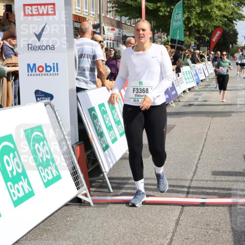15.09.2024 - PSD Bank Halbmarathon Strokosch-Dieckow http://msf.ph/oto/7073742 15.09.2024 12:32:53 Ziel 2189, 3045, 3358, 3368 meine-sportfotos.de