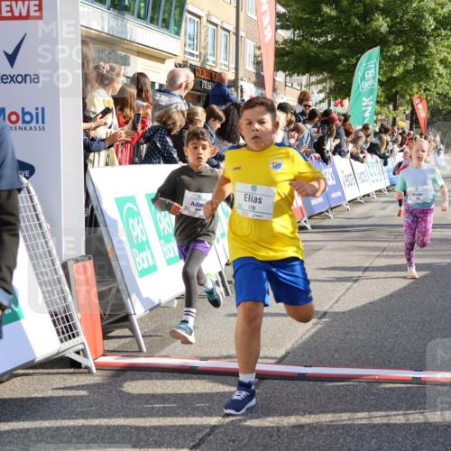 15.09.2024 - PSD Bank Halbmarathon Strokosch-Dieckow http://msf.ph/oto/7073747 15.09.2024 10:29:19 Ziel 5, 106, 107, 137, 150, 154, 170, 179, 189, 222, 231, 271, 288, 292, 297 meine-sportfotos.de