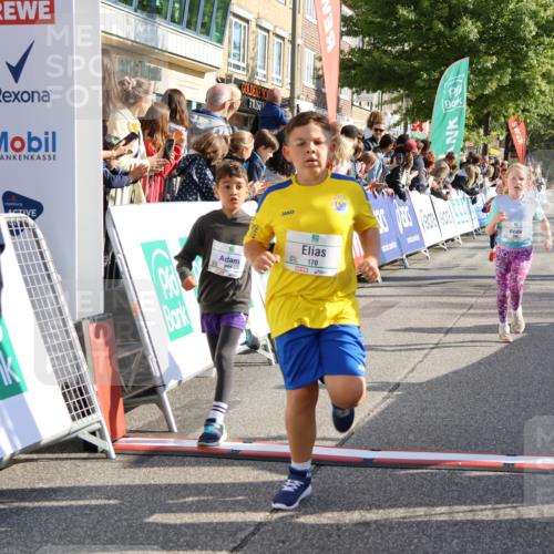 15.09.2024 - PSD Bank Halbmarathon Strokosch-Dieckow http://msf.ph/oto/7073770 15.09.2024 10:29:19 Ziel 5, 106, 107, 137, 150, 154, 170, 179, 189, 222, 231, 271, 288, 292, 297 meine-sportfotos.de