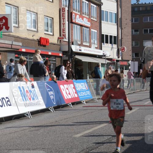 15.09.2024 - PSD Bank Halbmarathon Michael Strokosch http://msf.ph/oto/7073820 15.09.2024 10:32:10 Ziel 148, 193, 199, 280 meine-sportfotos.de