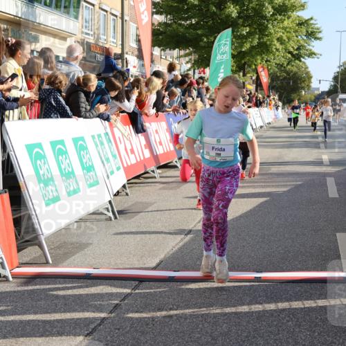 15.09.2024 - PSD Bank Halbmarathon Strokosch-Dieckow http://msf.ph/oto/7073822 15.09.2024 10:29:21 Ziel 5, 47, 106, 107, 137, 150, 154, 170, 179, 189, 222, 231, 244, 271, 288, 292, 297 meine-sportfotos.de