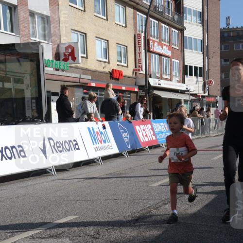 15.09.2024 - PSD Bank Halbmarathon Michael Strokosch http://msf.ph/oto/7073828 15.09.2024 10:32:11 Ziel 148, 193, 199, 280 meine-sportfotos.de