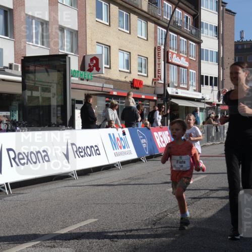 15.09.2024 - PSD Bank Halbmarathon Michael Strokosch http://msf.ph/oto/7073834 15.09.2024 10:32:11 Ziel 148, 193, 199, 280 meine-sportfotos.de