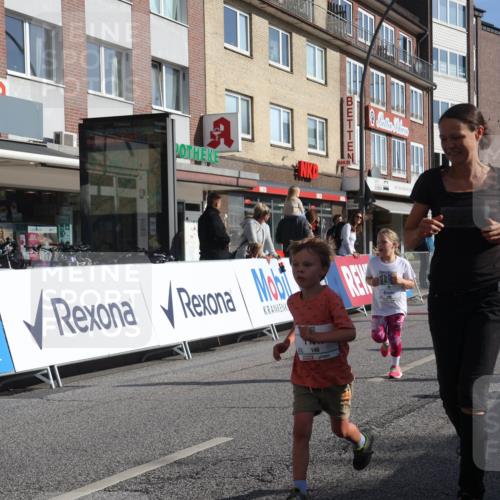 15.09.2024 - PSD Bank Halbmarathon Michael Strokosch http://msf.ph/oto/7073844 15.09.2024 10:32:11 Ziel 148, 193, 199, 280 meine-sportfotos.de