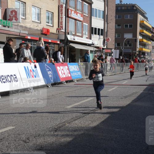15.09.2024 - PSD Bank Halbmarathon Michael Strokosch http://msf.ph/oto/7073869 15.09.2024 10:32:15 Ziel 68, 148, 193, 199, 280, 301 meine-sportfotos.de