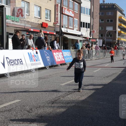 15.09.2024 - PSD Bank Halbmarathon Michael Strokosch http://msf.ph/oto/7073873 15.09.2024 10:32:15 Ziel 68, 148, 193, 199, 280, 301 meine-sportfotos.de