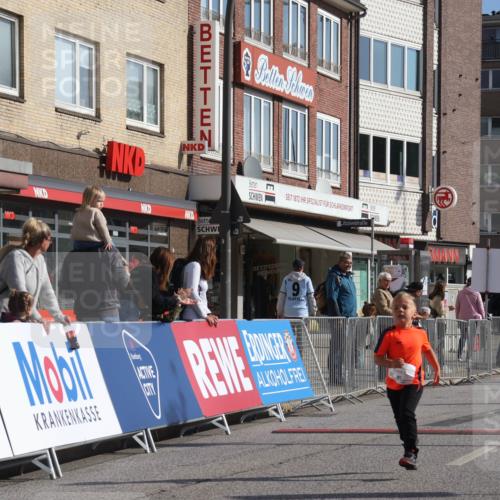 15.09.2024 - PSD Bank Halbmarathon Michael Strokosch http://msf.ph/oto/7073907 15.09.2024 10:32:19 Ziel 40, 68, 148, 157, 176, 193, 280, 301 meine-sportfotos.de