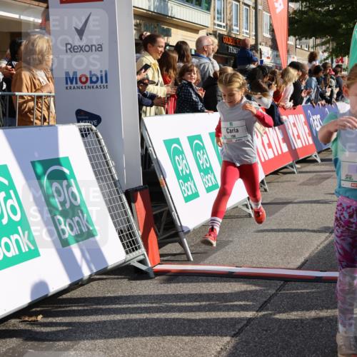 15.09.2024 - PSD Bank Halbmarathon Strokosch-Dieckow http://msf.ph/oto/7073941 15.09.2024 10:29:22 Ziel 5, 47, 106, 107, 137, 150, 154, 170, 179, 189, 222, 231, 244, 271, 288, 292, 297 meine-sportfotos.de