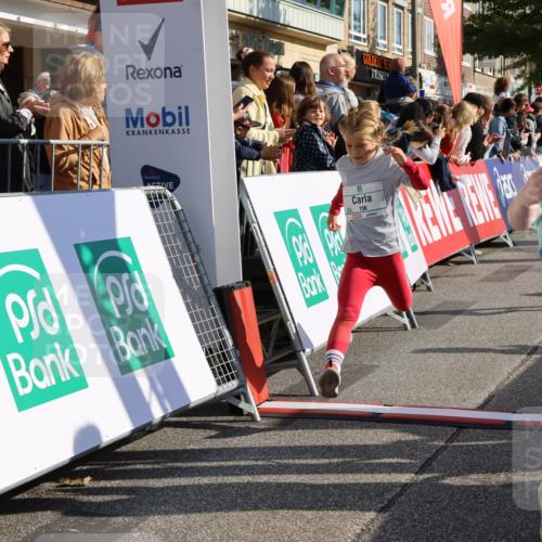 15.09.2024 - PSD Bank Halbmarathon Strokosch-Dieckow http://msf.ph/oto/7073959 15.09.2024 10:29:22 Ziel 5, 47, 106, 107, 137, 150, 154, 170, 179, 189, 222, 231, 244, 271, 288, 292, 297 meine-sportfotos.de