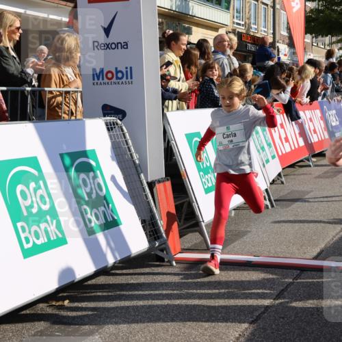 15.09.2024 - PSD Bank Halbmarathon Strokosch-Dieckow http://msf.ph/oto/7073986 15.09.2024 10:29:22 Ziel 5, 47, 106, 107, 137, 150, 154, 170, 179, 189, 222, 231, 244, 271, 288, 292, 297 meine-sportfotos.de