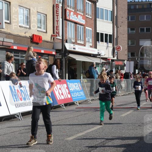 15.09.2024 - PSD Bank Halbmarathon Michael Strokosch http://msf.ph/oto/7074050 15.09.2024 10:32:29 Ziel 1, 40, 68, 83, 157, 176, 182, 232, 241, 283, 301, 302 meine-sportfotos.de