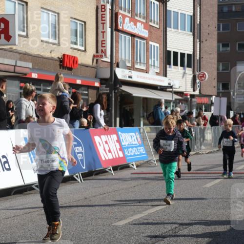 15.09.2024 - PSD Bank Halbmarathon Michael Strokosch http://msf.ph/oto/7074054 15.09.2024 10:32:30 Ziel 1, 4, 40, 68, 83, 157, 176, 182, 232, 241, 275, 283, 301, 302 meine-sportfotos.de
