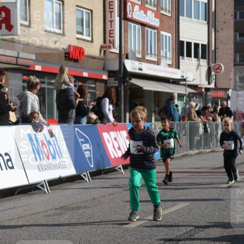 15.09.2024 - PSD Bank Halbmarathon Michael Strokosch http://msf.ph/oto/7074070 15.09.2024 10:32:30 Ziel 1, 4, 40, 68, 83, 157, 176, 182, 232, 241, 275, 283, 301, 302 meine-sportfotos.de