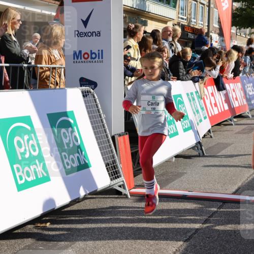 15.09.2024 - PSD Bank Halbmarathon Strokosch-Dieckow http://msf.ph/oto/7074071 15.09.2024 10:29:22 Ziel 5, 47, 106, 107, 137, 150, 154, 170, 179, 189, 222, 231, 244, 271, 288, 292, 297 meine-sportfotos.de