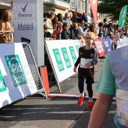 15.09.2024 - PSD Bank Halbmarathon Strokosch-Dieckow http://msf.ph/oto/7074098 15.09.2024 10:29:23 Ziel 5, 12, 47, 106, 107, 137, 150, 154, 170, 179, 180, 189, 222, 231, 244, 271, 288, 292, 297 meine-sportfotos.de