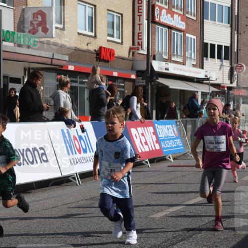 15.09.2024 - PSD Bank Halbmarathon Michael Strokosch http://msf.ph/oto/7074103 15.09.2024 10:32:33 Ziel 1, 4, 33, 40, 68, 83, 157, 176, 182, 232, 241, 275, 283, 302 meine-sportfotos.de