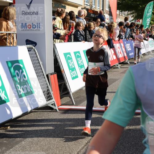 15.09.2024 - PSD Bank Halbmarathon Strokosch-Dieckow http://msf.ph/oto/7074146 15.09.2024 10:29:23 Ziel 5, 12, 47, 106, 107, 137, 150, 154, 170, 179, 180, 189, 222, 231, 244, 271, 288, 292, 297 meine-sportfotos.de