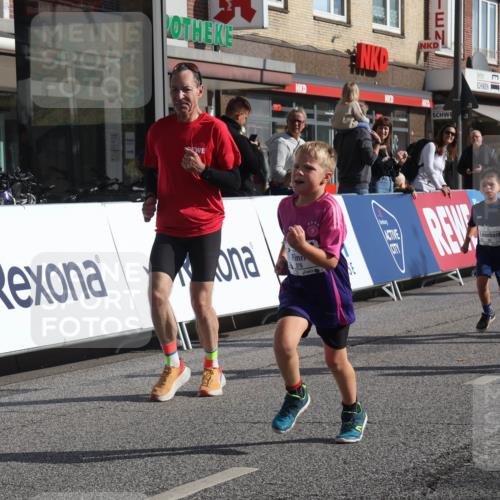 15.09.2024 - PSD Bank Halbmarathon Michael Strokosch http://msf.ph/oto/7074174 15.09.2024 10:32:40 Ziel 1, 4, 33, 83, 182, 232, 241, 275, 283, 302 meine-sportfotos.de
