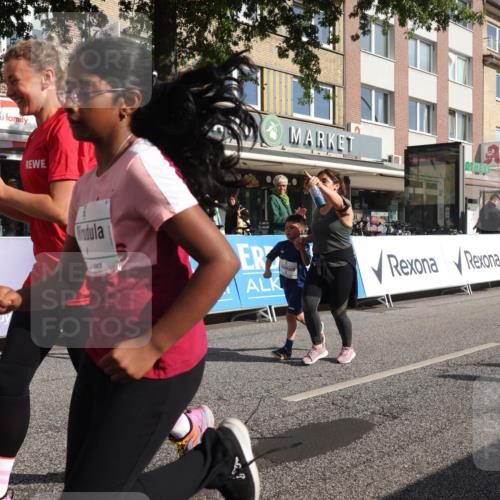 15.09.2024 - PSD Bank Halbmarathon Michael Strokosch http://msf.ph/oto/7074207 15.09.2024 10:32:43 Ziel 1, 4, 33, 182, 232, 241, 275, 283, 302 meine-sportfotos.de