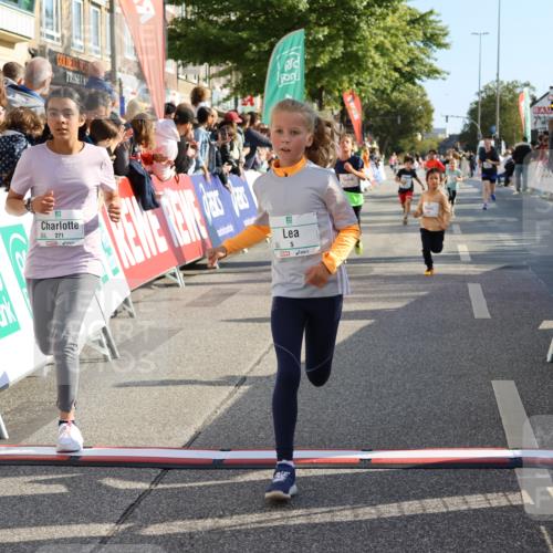 15.09.2024 - PSD Bank Halbmarathon Strokosch-Dieckow http://msf.ph/oto/7074236 15.09.2024 10:29:26 Ziel 5, 12, 47, 70, 150, 154, 170, 179, 180, 189, 231, 244, 254, 271, 288, 292, 297 meine-sportfotos.de